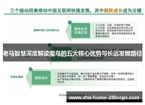 老马智慧深度解读魔鸟的五大核心优势与长远发展路径