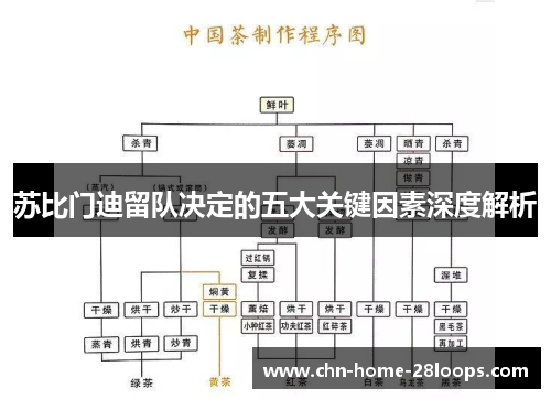 苏比门迪留队决定的五大关键因素深度解析