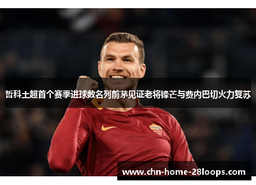 哲科土超首个赛季进球数名列前茅见证老将锋芒与费内巴切火力复苏 哲科土超首个赛季进球数名列前茅见证老将锋芒与费内巴切火力复苏