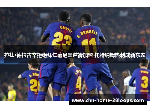 拉杜·德拉古辛拒绝拜仁慕尼黑邀请加盟 托特纳姆热刺成新东家